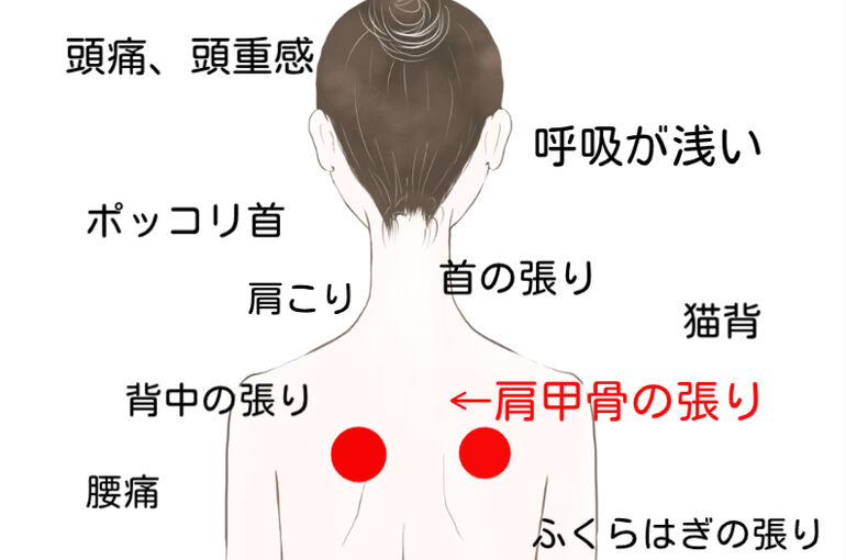 肩甲骨　横位置